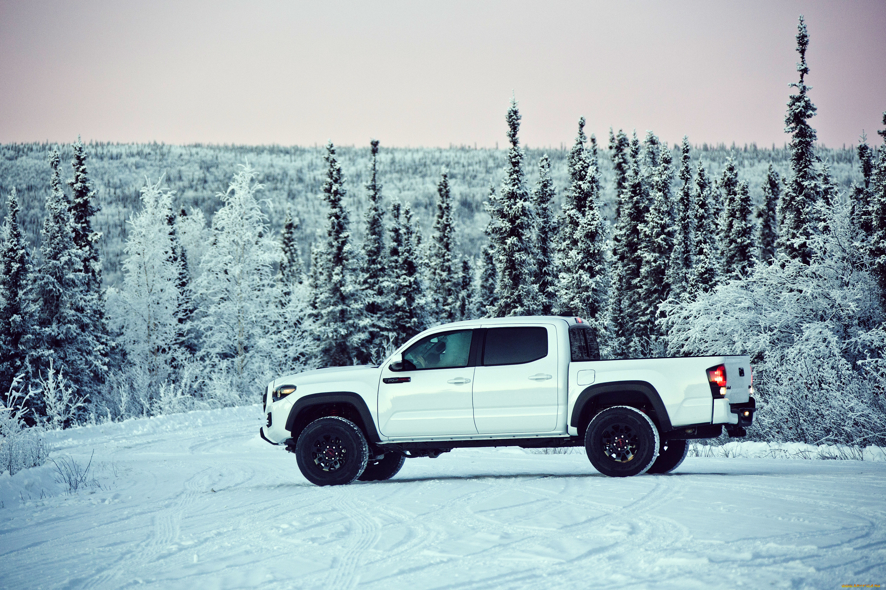 Toyota Tacoma Pickup 2000 Monster